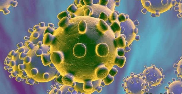 Coronavirus has killed a maximum of 74 people in the last 24 hours