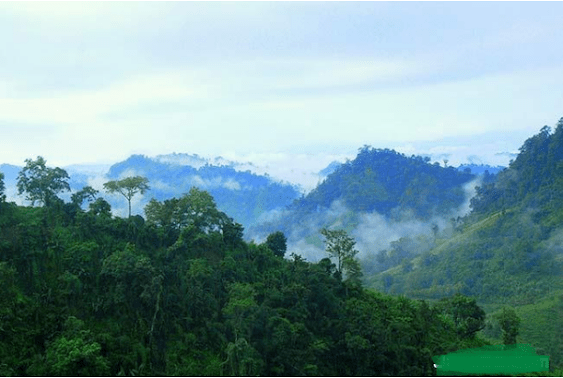 During the rainy season, visit the green hills of Bandarban