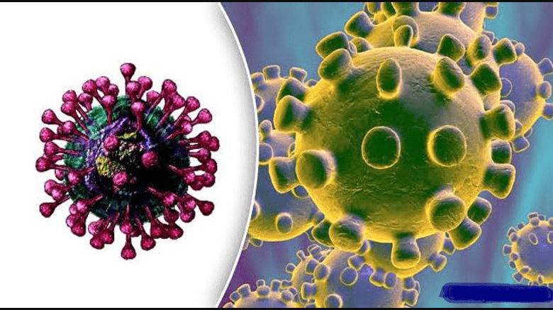 What is coronavirus, its causes, symptoms, treatment and prevention