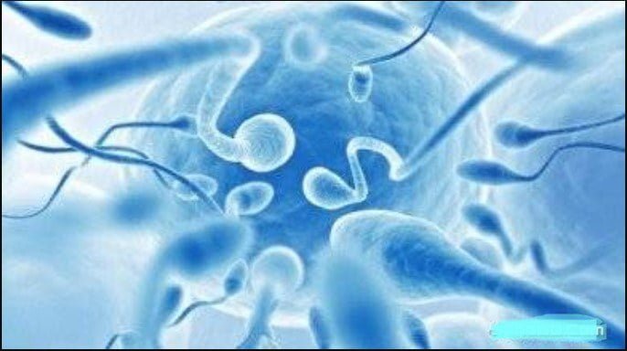 There are 6 reasons why boys' sperm is damaged