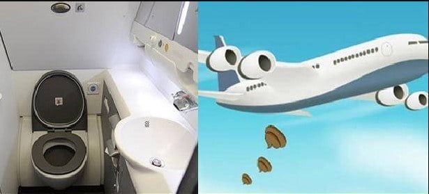 Do you know where it goes after using the toilet on the plane?