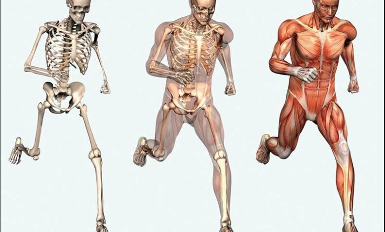 Twenty unknown facts about the human body