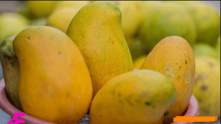 Twelve facts about the mango