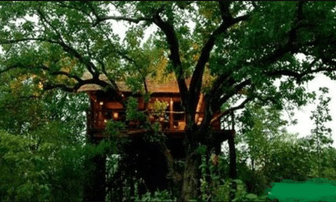 A beautiful place to travel where people stay in tree houses