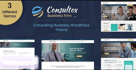 Consultox - Consulting Business WordPress Theme GPL