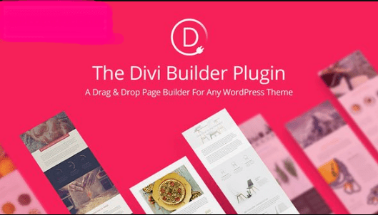Divi Builder v4.16.1 - Drag & Drop Page Builder WP Plugin with Free